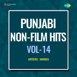 Punjabi Non - Film Hits Vol - 14