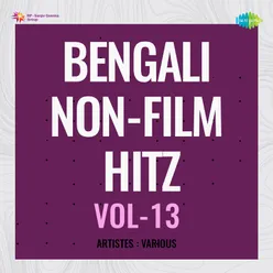 Bengali Non - Film Hitz Vol - 13