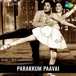 PARAKKUM PAAVAI