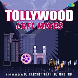 Tollywoood Lofi Mixes