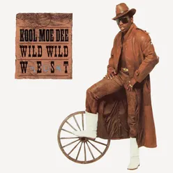Wild Wild West Special Extended Re-mix