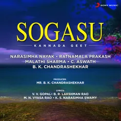 Baanugiriya Sparsha Instrumental