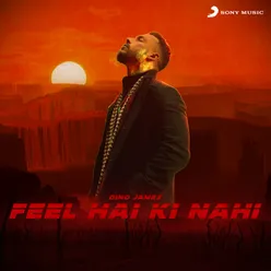 Feel Hai Ki Nahi