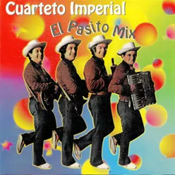 El Perico (El Pasito Mix)