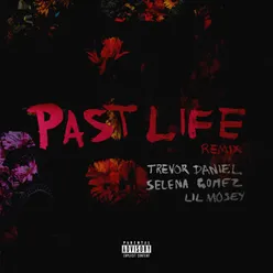 Past Life Remix