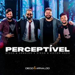 Perceptível Ao Vivo