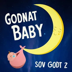 Sov Godt 2 - Mor Synger: Afslappende godnatsange og beroligende vuggeviser til dig og din baby