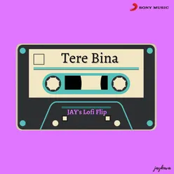 Tere Bina Lofi Flip