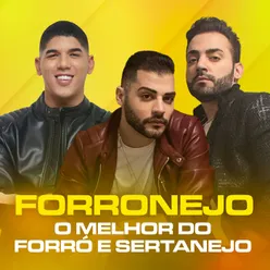 Forronejo - O Melhor do Forró e Sertanejo