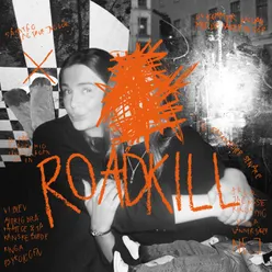 Roadkill