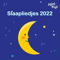 Slaapliedjes 2022