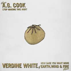 Stop Making This Hurt (A.G. Cook Remix) / How Dare You Want More (Verdine White of Earth, Wind & Fire Remix)