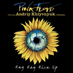 Hey Hey Rise Up feat. Andriy Khlyvnyuk of Boombox