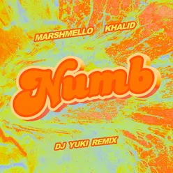 Numb (DJ YUKI Remix)