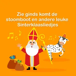 De Zak Van Sinterklaas