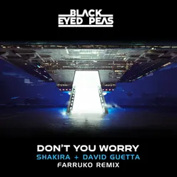 DON'T YOU WORRY (Farruko Remix)