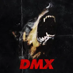 DMX