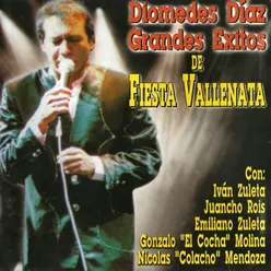 Grandes Exitos de Fiesta Vallenata