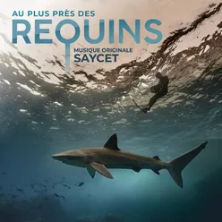 Au plus près des requins (Bande originale du film)