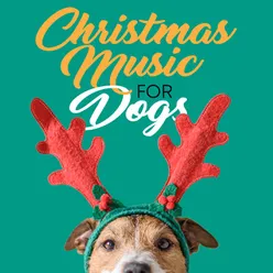 Christmas Music For Dogs