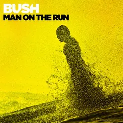 Man On the Run