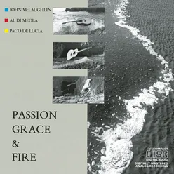 Passion, Grace and Fire (Album Version)