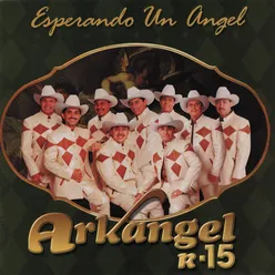 Esperando un Ángel