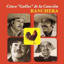 Porque Volviste (Ranchera)