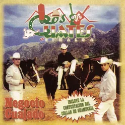 Negocio Cuajado (Album Version)