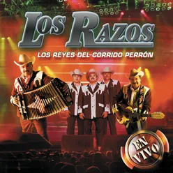 Corazón De Perico Live Version