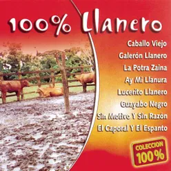 Caballo Viejo