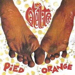 Pieds orange