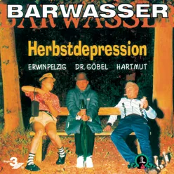 Die Herbstdepression