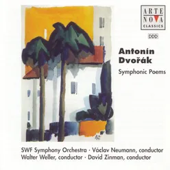 In der Natur, Overture Op. 91