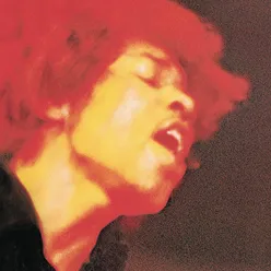 Have You Ever Been (To Electric Ladyland)