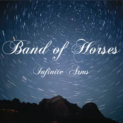 Infinite Arms (Album Version)