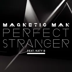 Perfect Stranger