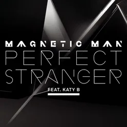 Perfect Stranger Benga Remix