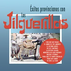 Exitos Provincianos Con Las Jilguerillas