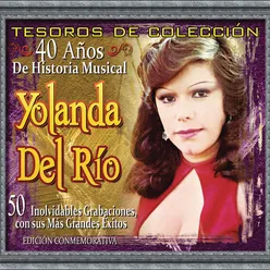 Tesoros De Colección - 40 Años de Historia Musical