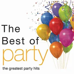 Get the Party Started (Radio Mix)