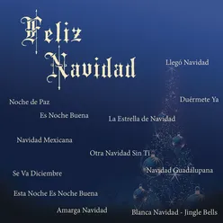 Navidad Guadalupana