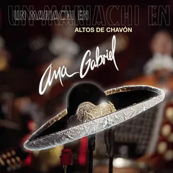 Llorándote (Altos De Chavón Live Version)
