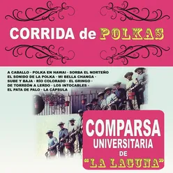 El Sonido de la Polka