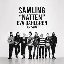 Natten Eva Dahlgren re-vocal