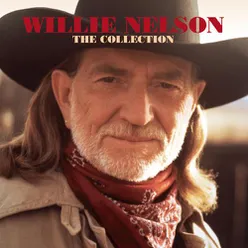 My Heroes Have Always Been Cowboys Album Version