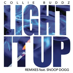Light It Up (Ricky Blaze Remix)