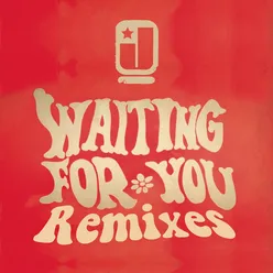 Waiting For You (Pic Schmitz Club Remix)