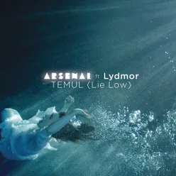 Temul (Lie Low) (Aashton Remix)