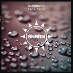 Raindrops (Prince Fox Remix)